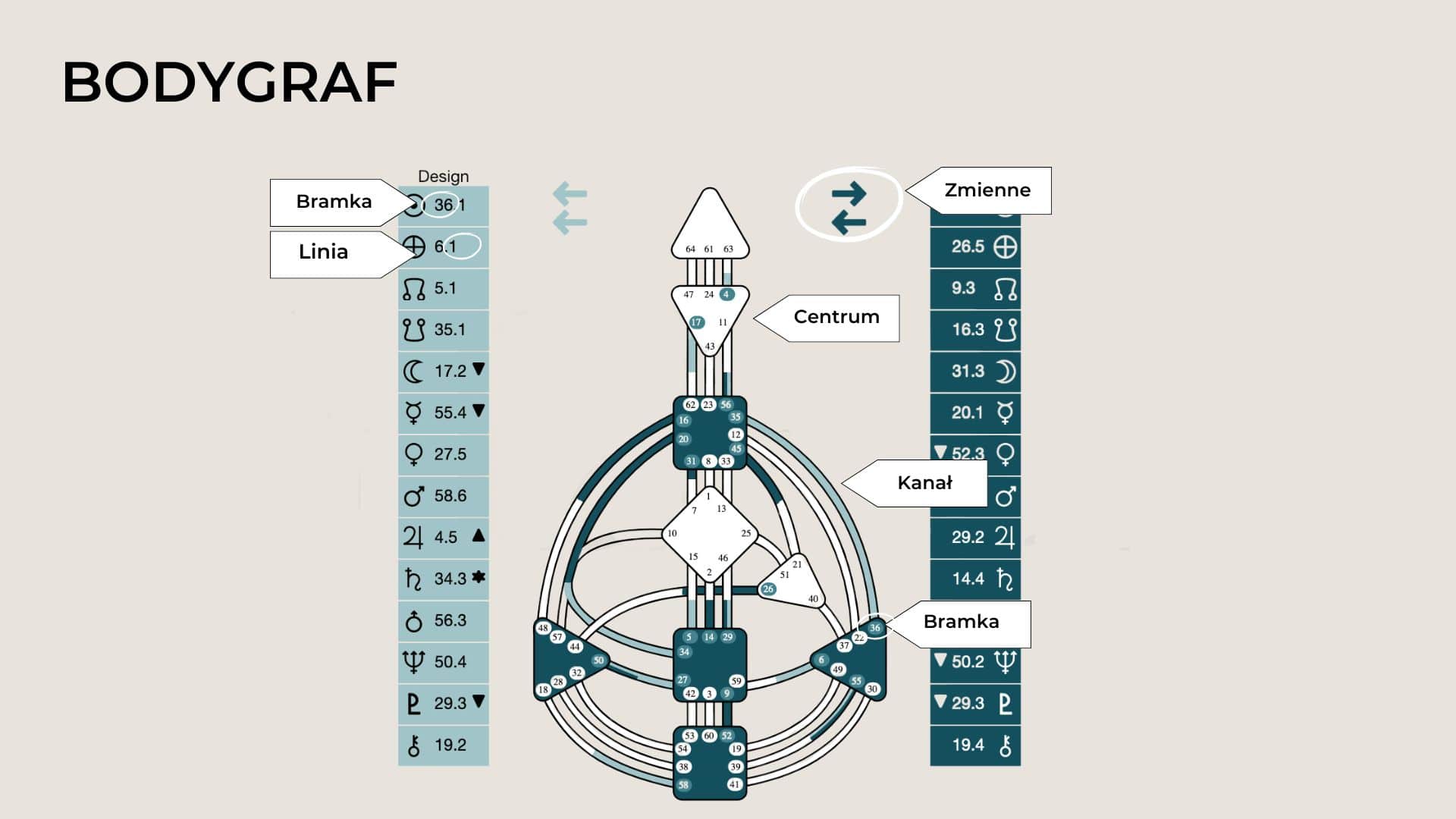 Na tej ilustracji widać Bodygraf i są zaznaczone poszczególne elementy: Bramki, linie, kanały, Centra i Strzałki